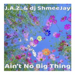 J.A.Z & dj ShmeeJay - Ain't No Big Thing