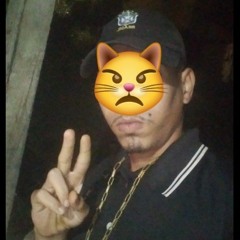 PUT@RIA MELODICA KKK (DJ PL 22)