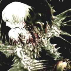 wings (prod. cmemo)