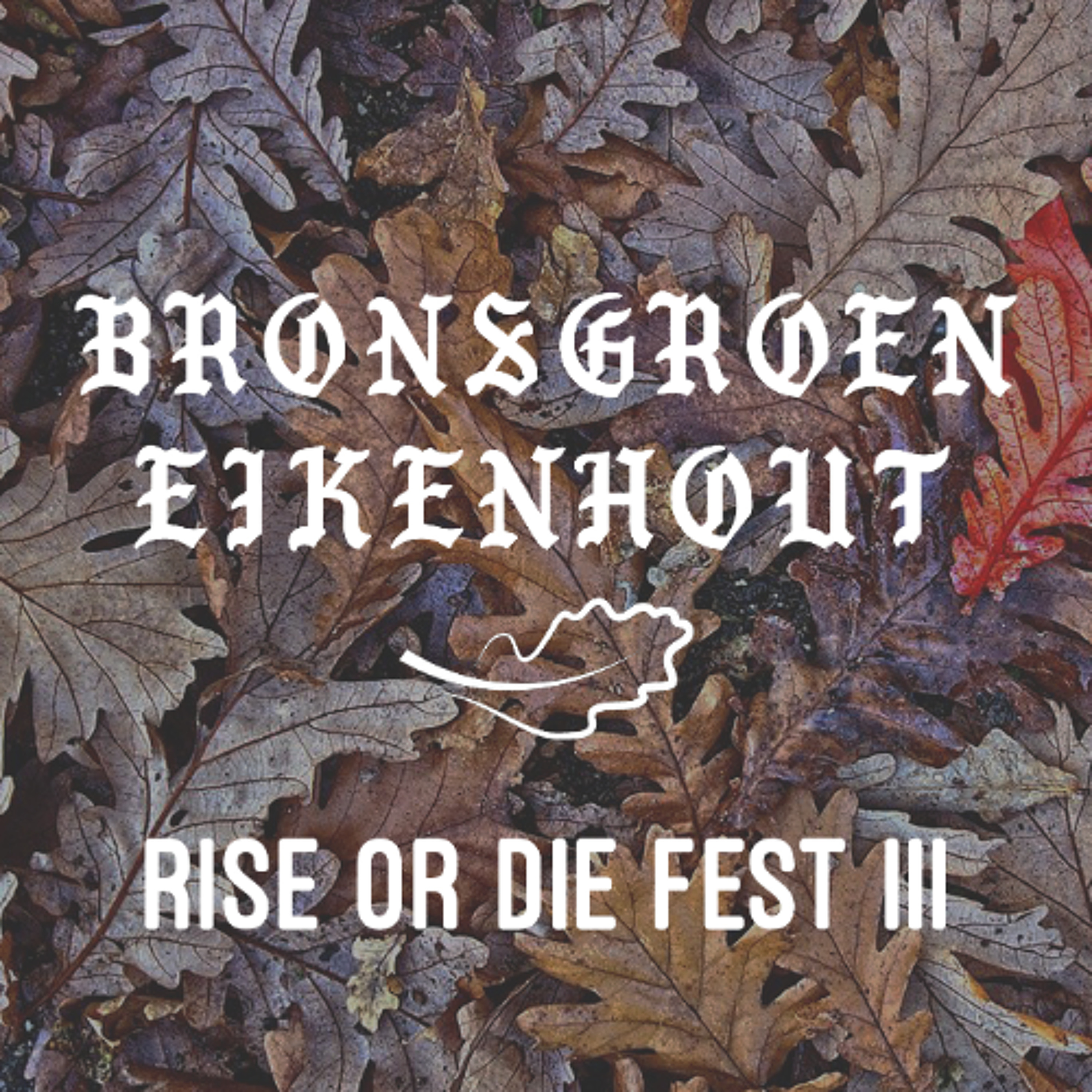 BG14 Rise Or Die Fest III