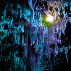 The Pain Prod. capsctrl