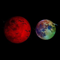 🤷🏼‍♂️☄️