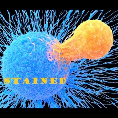 Stained
