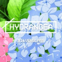 hydrangea
