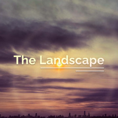 The Landscape