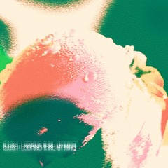 MOTZ Premiere: sjush - Looping Thru My Mind