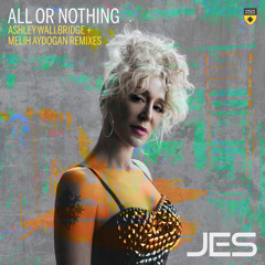 All or Nothing (Melih Aydogan Remix)