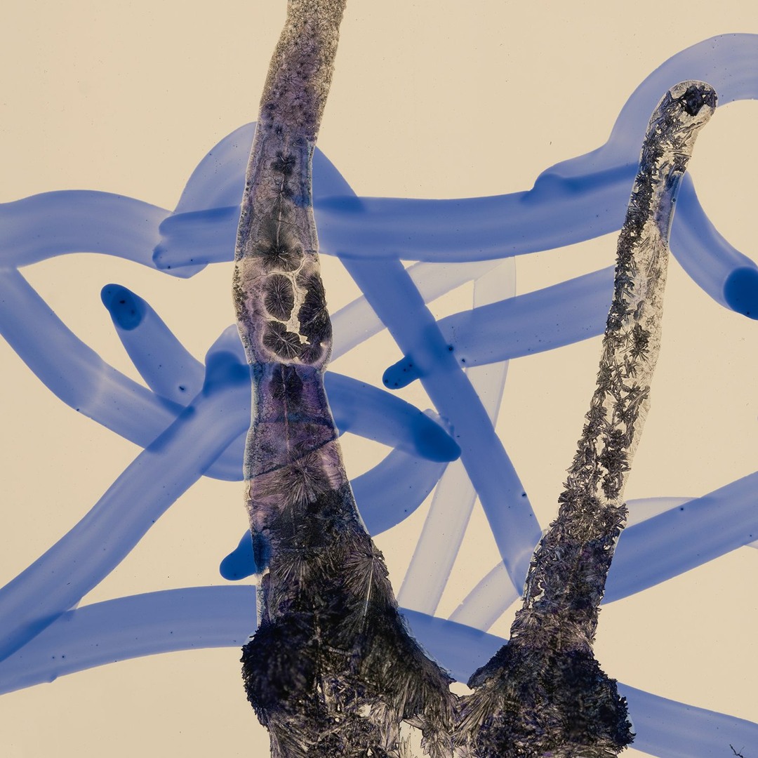 stream-miodo-ercy-kobitki-najs-totalnie-na-maksa-by-f13-lab-records
