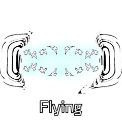 SKAPA & Sndwch - Flying