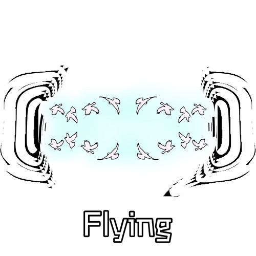 SKAPA & Sndwch - Flying