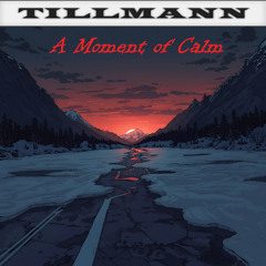 Tillmann - 2025 - A moment of Calm