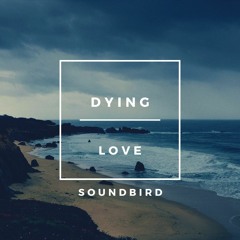 Dying Love (sampler)