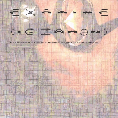 examine-mix-115-w-zombieflesheater-2025-05-25