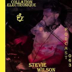 Stevie Wilson @ Collation Electronique