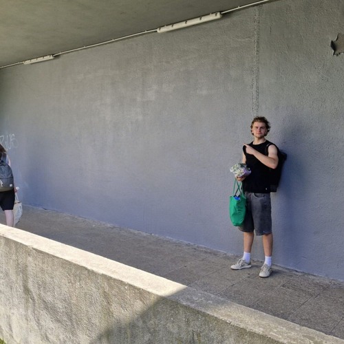 ZARG - Full Discography (In Order)