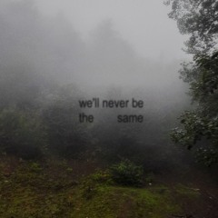 we'll never be the same