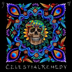 Guzmania - Celestial Remedy