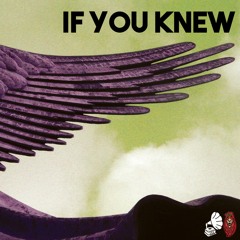 If You Knew (Prod. by Twano)