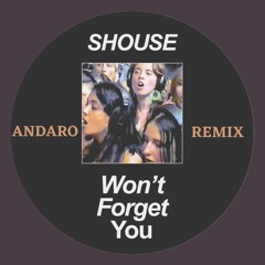 Shouse - Won't Forget You (Andaro Remix)