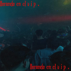 LLORANDO EN EL VIP