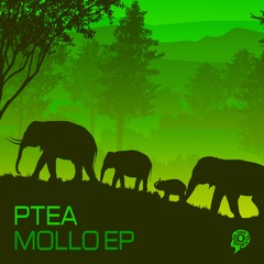 Ptea - Bofelong (Original Mix) Snippet