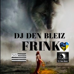 DJ DEN BLEIZ - FRINK