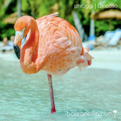 Giocoso [006] (phr0ggi)