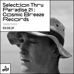 Selection Thru Paradise 21 : Cosmic Breeze Records Take Over