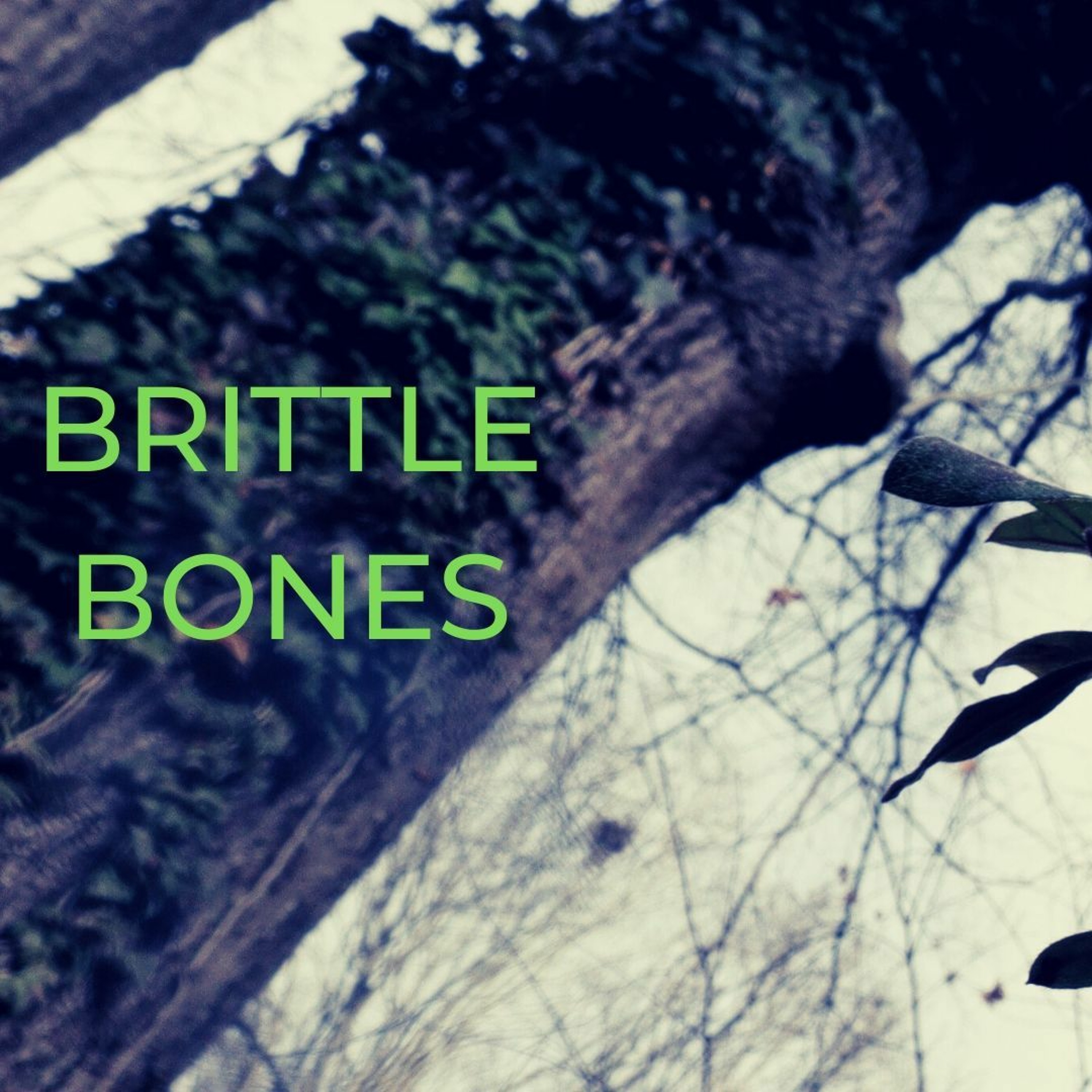 BRITTLE BONES episode artwork