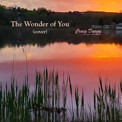 The Wonder of You (Elvis cover)