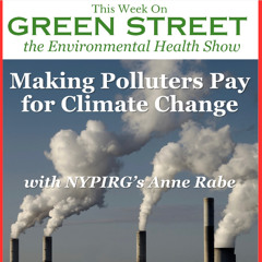 Green Street - Climate Change with Anne Rabe