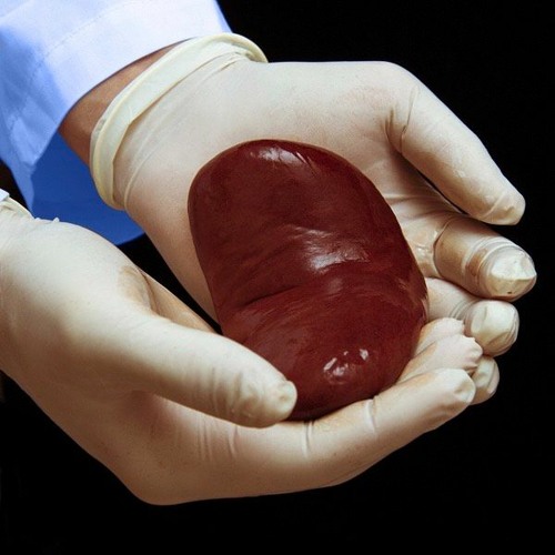 KIDNEY ICE BATH (Prod. GabsOnDaBeat x mc noisemaker)