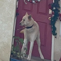 FuckThisGeneration (ft.M4NNY) (prod. killua katana)