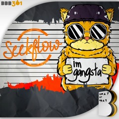 SeekFlow - I'm Gangsta