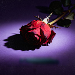 The Way You Look At Me