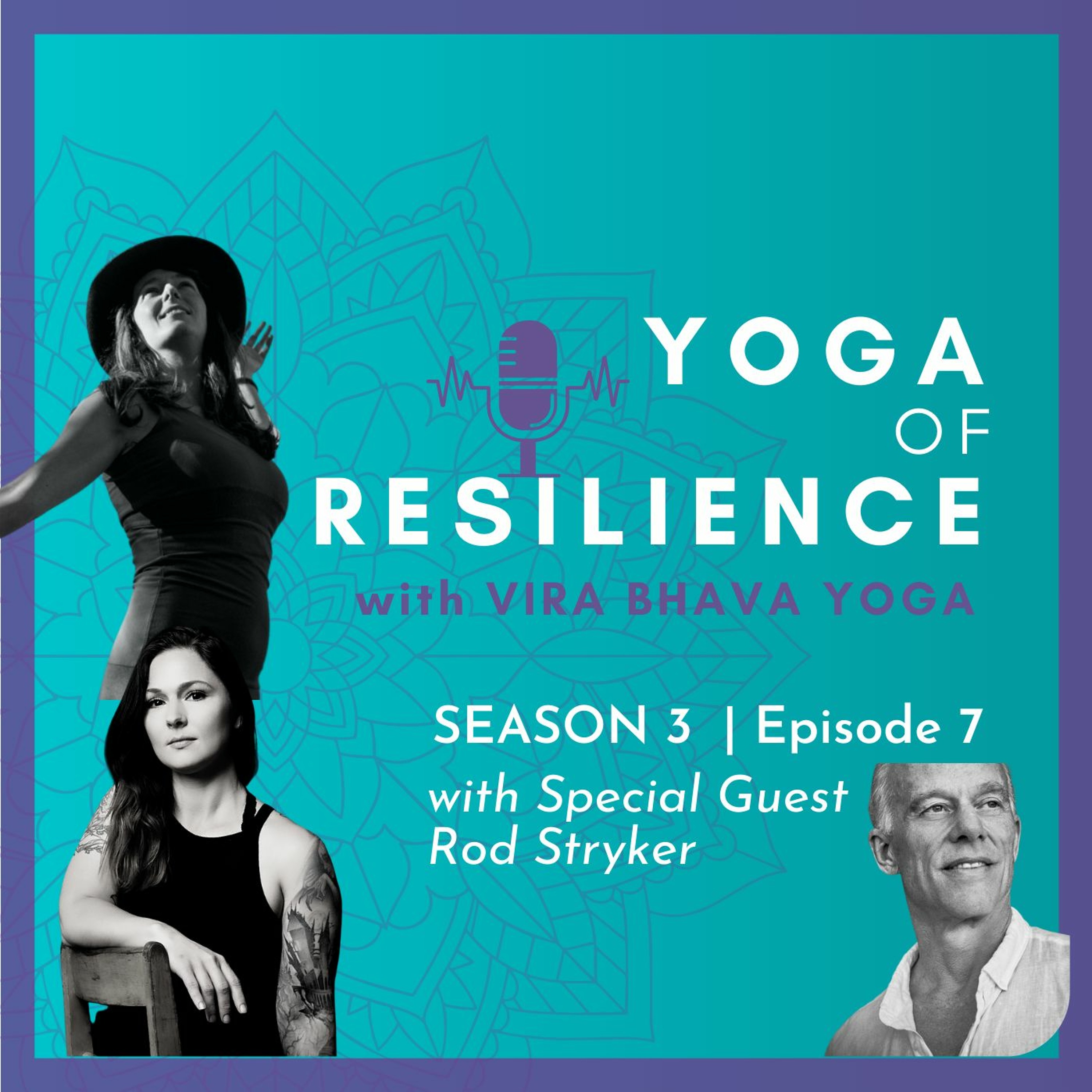 S3 | E7 Interview with Rod Stryker episode artwork