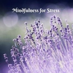 Mindfulness For Stress (Amplified)
