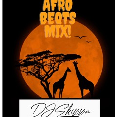 Dj Skippa Afrobeats Mix
