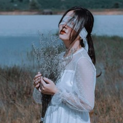 Phi điểu và ve sầu - Vux LH