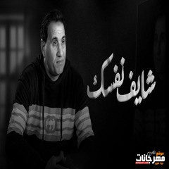 اغنيه شايف نفسك وصلت لايه - وحيد و الدنيا ضاحكه عليه - احمد شيبه - MP3