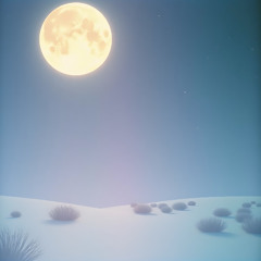 Midnight Echoes