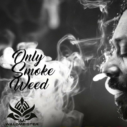 Only Smoke Weed (Insomnia Mashup)(Free Download)