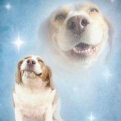 exclusiva @1thouxan766