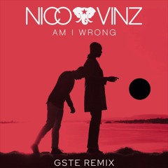 Am I Wrong? (GSTE REMIX)