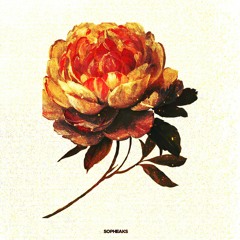 SOPHEAKS - Abroma Beat