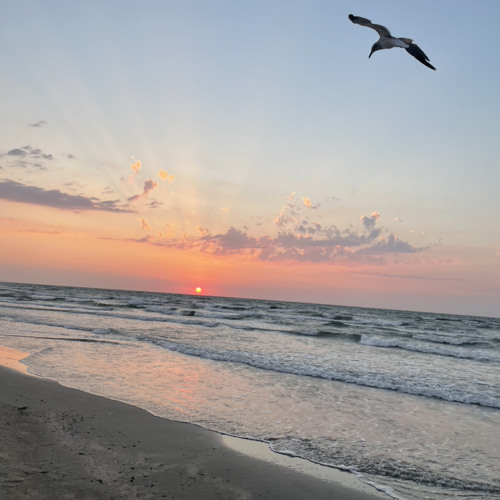 Stream A Sinners Prayer To Have A Heart That s Willing Tyler Youth stream-a-sinners-prayer-to-have-a-heart-that-s-willing-tyler-youth