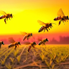 Emīlija - Bites (Bootleg Remix)