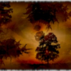 Ce Qui Tourne En Boucle