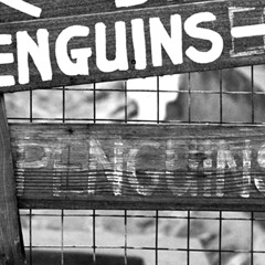 The Penguin Show (Episode 065)