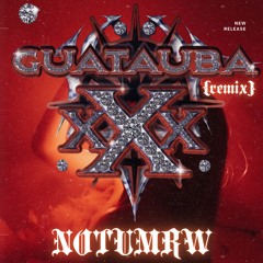GUATAUBA (remix)